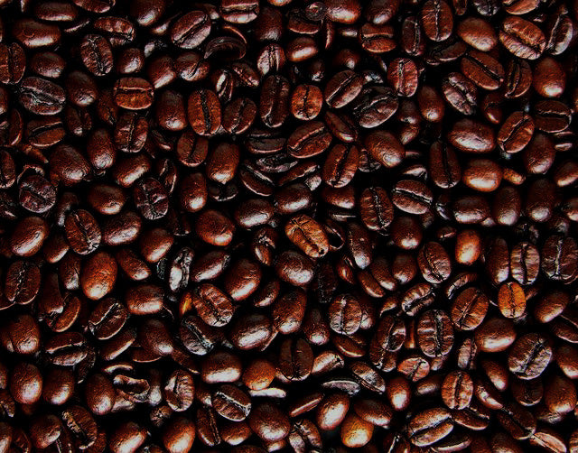 Pierce Bros. Fogbuster - Better Beans for Your Buck!