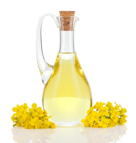 Canola Oil, Organic