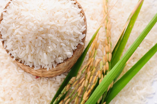 Jasmine Rice, White, Organic