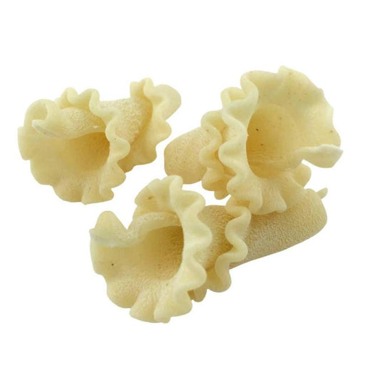 Trumpets, Semolina, Organic by Sfoglini