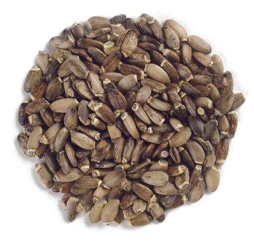 Milk Thistle Seed, Organic